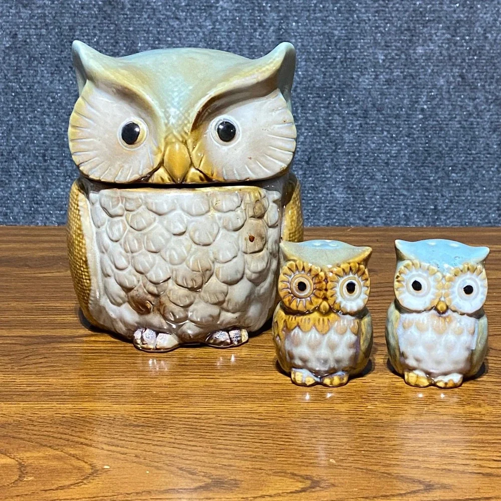 Vintage Ceramic Owl Cookie Jar Canister and Salt‎ Pepper Shaker Set Brown Blue